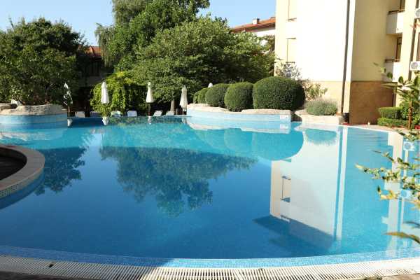 Luxurious swimming pool surrounded by lush greenery and manicured hedges, reflecting blue sky and sunlight, ideal for pool renovation inspiration.