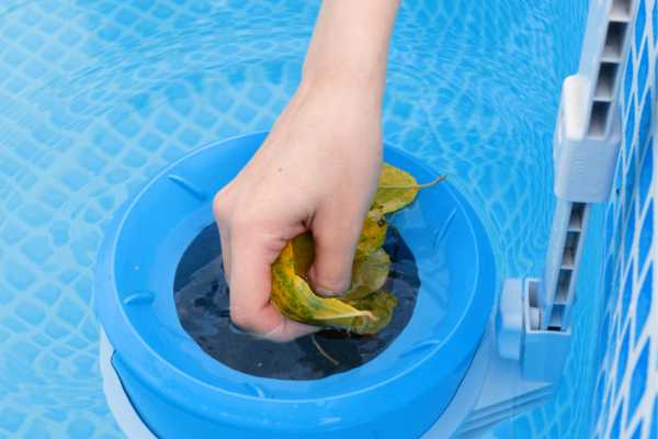 Hand removing leaves from a blue pool skimmer, emphasizing pool maintenance and water quality for E. coli prevention.