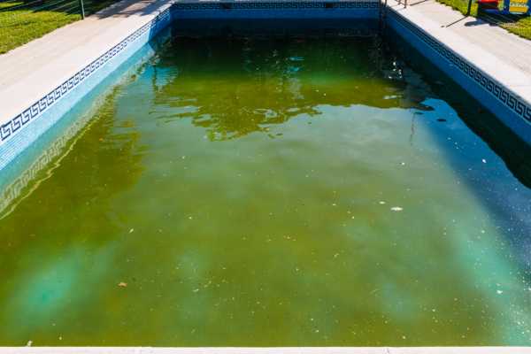 Green pool water after a storm, showcasing algae growth and debris, emphasizing the need for restoration and maintenance services.